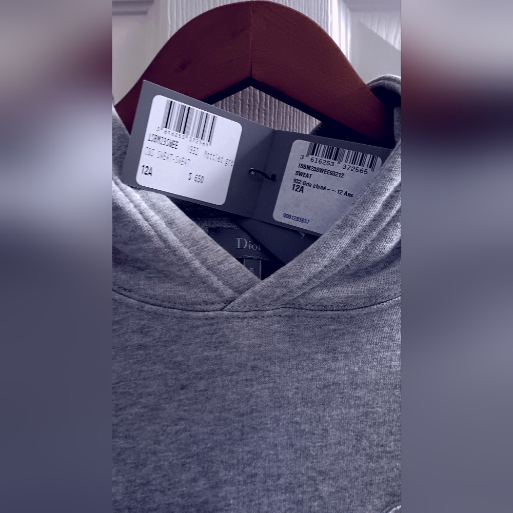Dior Gray Hoodie - Picture 4 of 4